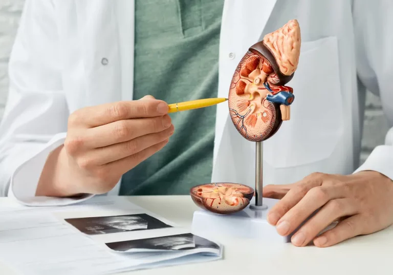 Entenda o que é o câncer renal, seus sintomas, diagnóstico e como se prevenir